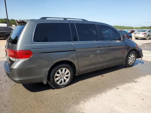 2008 Honda Odyssey EXL