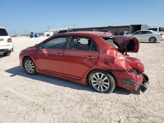 2010 Toyota Corolla Base