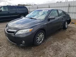 Salvage cars for sale at Anderson, CA auction: 2010 Toyota Camry Hybrid