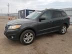 2010 Hyundai Santa FE SE