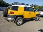 2007 Toyota FJ Cruiser