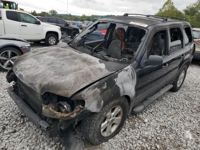 2007 Ford Escape XLT