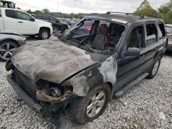 Salvage cars for sale from Copart Cahokia Heights, IL: 2007 Ford Escape XLT