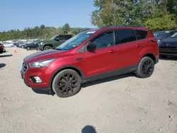 Salvage cars for sale at Candia, NH auction: 2017 Ford Escape SE