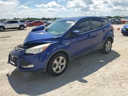 Salvage cars for sale at Arcadia, FL auction: 2016 Ford Escape SE