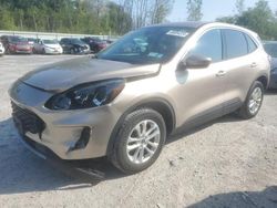 Ford salvage cars for sale: 2020 Ford Escape SE