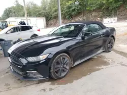 Ford salvage cars for sale: 2015 Ford Mustang