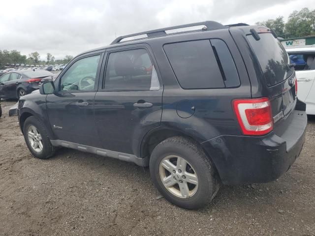 2009 Ford Escape Hybrid