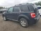 2009 Ford Escape Hybrid