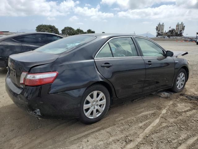 2009 Toyota Camry Hybrid