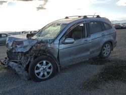 Salvage cars for sale at Helena, MT auction: 2008 Honda CR-V EXL