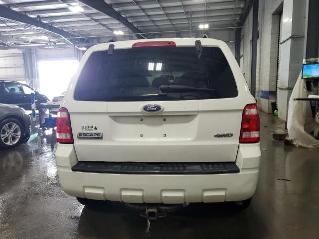 2009 Ford Escape XLT