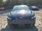 2016 Ford Fusion SE Phev