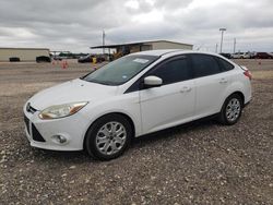 Salvage cars for sale at Temple, TX auction: 2012 Ford Focus SE