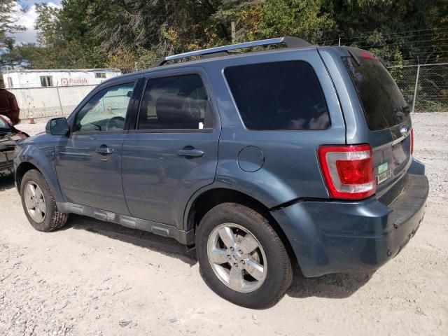 2011 Ford Escape Limited