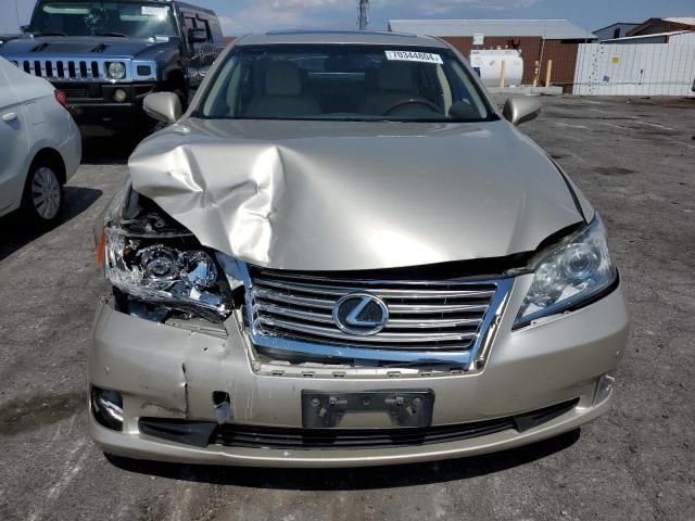 2010 Lexus ES 350