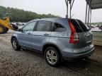 2010 Honda CR-V EXL