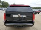 2010 Cadillac Escalade Luxury