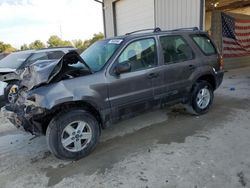 Salvage cars for sale at Columbia, MO auction: 2005 Ford Escape XLS