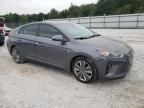 2019 Hyundai Ioniq Limited