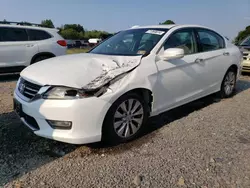 Salvage cars for sale at Hillsborough, NJ auction: 2013 Honda Accord EXL