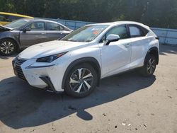 Salvage cars for sale at Glassboro, NJ auction: 2020 Lexus NX 300