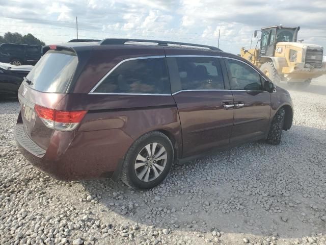 2014 Honda Odyssey EXL