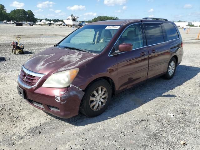 2010 Honda Odyssey EXL