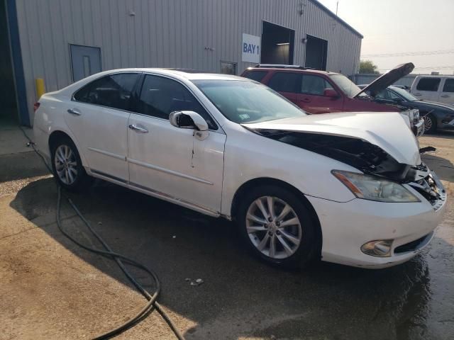 2010 Lexus ES 350