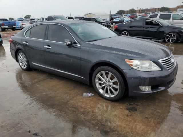 2010 Lexus LS 460