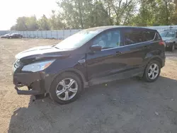 Ford Vehiculos salvage en venta: 2016 Ford Escape SE