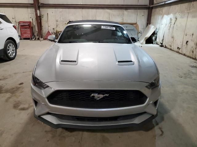 2019 Ford Mustang