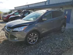 Ford salvage cars for sale: 2013 Ford Escape SEL