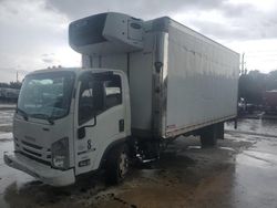 Salvage trucks for sale at West Palm Beach, FL auction: 2020 Isuzu NQR