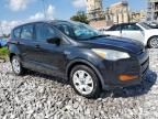 2013 Ford Escape S