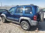 2005 Jeep Liberty Renegade