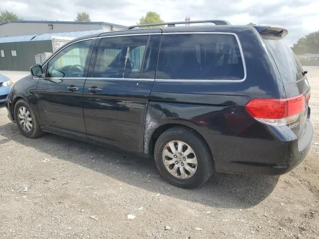 2010 Honda Odyssey EXL