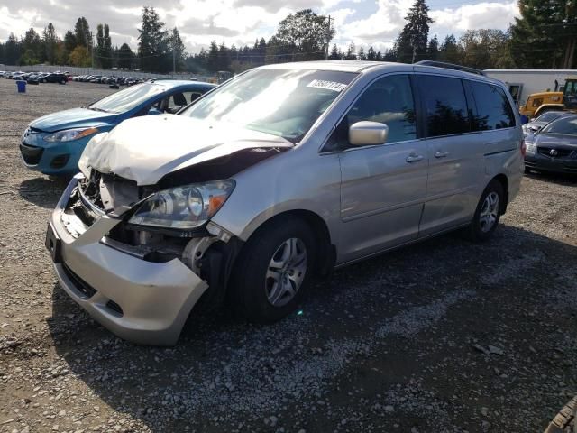 2005 Honda Odyssey EXL