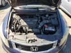 2008 Honda Accord LXP