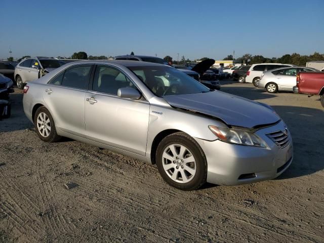 2007 Toyota Camry Hybrid