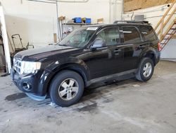 Salvage cars for sale at Ham Lake, MN auction: 2012 Ford Escape XLT