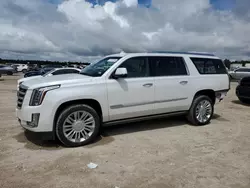 Salvage cars for sale at Houston, TX auction: 2019 Cadillac Escalade ESV Premium Luxury