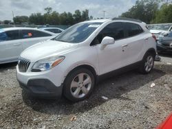 Salvage cars for sale at Riverview, FL auction: 2016 Buick Encore