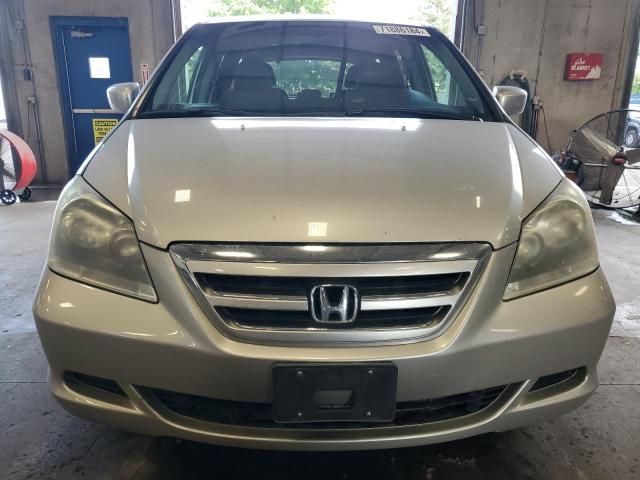 2005 Honda Odyssey EXL