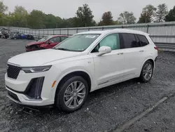 Cadillac Vehiculos salvage en venta: 2023 Cadillac XT6 Premium Luxury