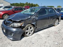 2013 Toyota Corolla Base en venta en Lawrenceburg, KY