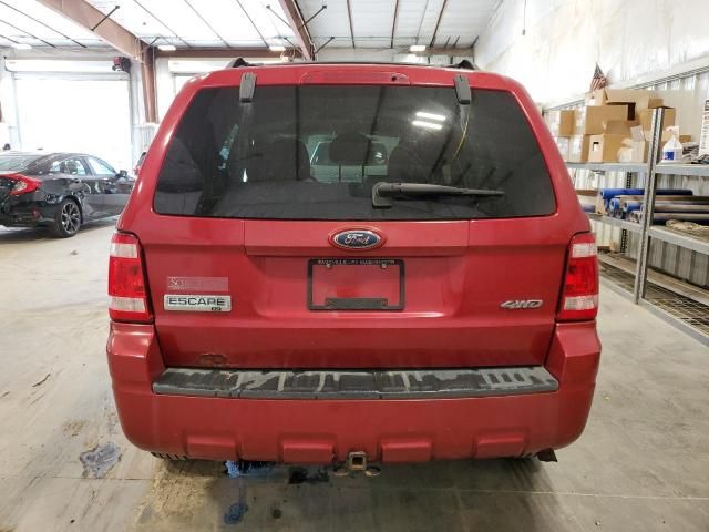 2009 Ford Escape XLT