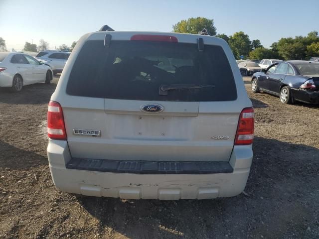 2008 Ford Escape XLT