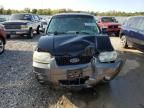 2005 Ford Escape XLT