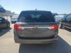 2020 Honda Odyssey EXL